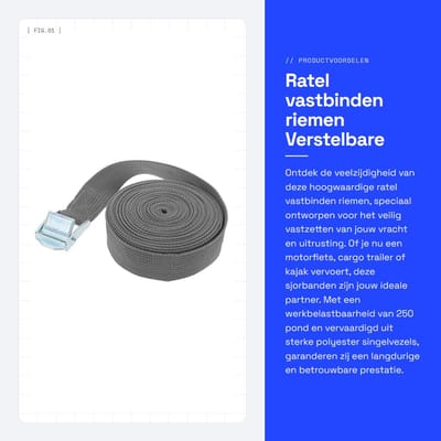 Dailygoods- Spanriemen 250 Pond Werkbelastbaarheid - Verstelbare Sjorbanden - Ratelbinders - Hoogwaardige Polyester - 2 Meter Lang - Duurzaam en Rafelt Niet