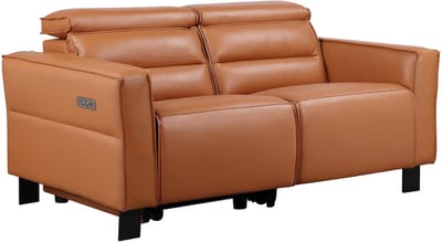 Carpari-2-zitsbank met 1 elektrische fauteuil in leerPU cognac
