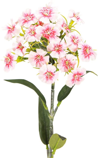 Baardanjer kunstanjer Perzik Roze 52cm