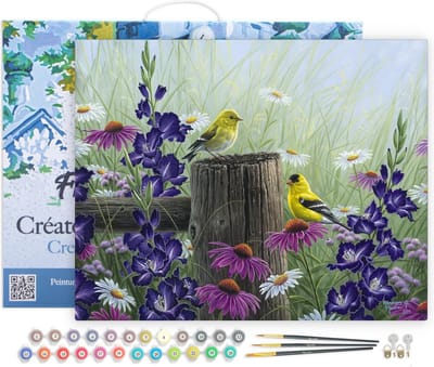 Figured'Art Schilderen op Nummer Volwassenen met lijst - Goldfinch Paar - Handwerk acrylverf Kit DIY Compleet - 40x50cm Canvas al ingelijst