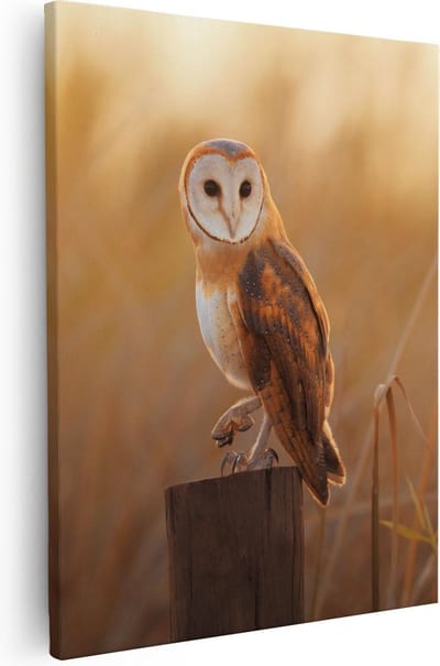 Artaza Canvas Schilderij Kerkuil - 40x50 cm - Wanddecoratie Vogel - Muurdecoratie Dieren - Kamer Accessoires