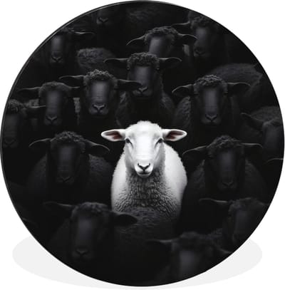 WallCircle - Wandcirkel - Muurcirkel - Schapen - Wit - Duisternis - Aluminium - Dibond - 30x30 cm - Binnen en Buiten