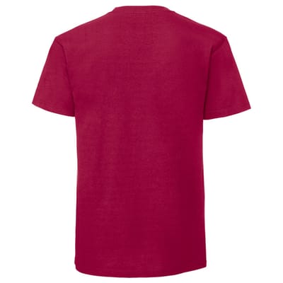 Fruit of the Loom Unisex volwassen iconisch 195 T-shirt (Veenbes)