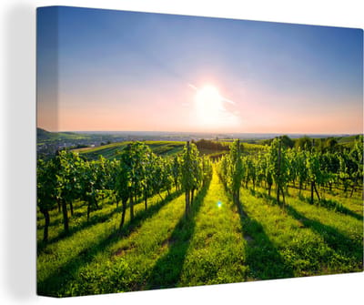 Canvas Schilderij Groene wijngaarden bij een zonsopkomst - 90x60 cm - Wanddecoratie
