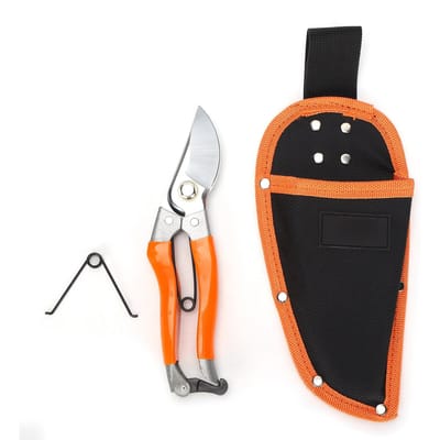 Fruitboom Snoeischaar Tuinschaar Bloem Snoeien Takken Plantschaar Tuingereedschap black