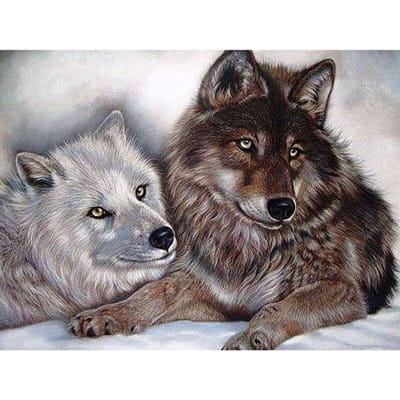Foret rond complet 5D bricolage diamant broderie loup dans la neige diamant peinture point de croix strass 20X30CM black