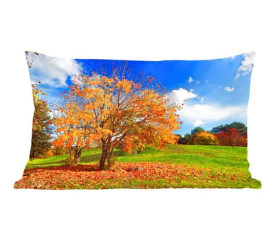 Sierkussens - Kussentjes Woonkamer - 50x30 cm - Boom - Bladeren - Herfst - Seizoenen