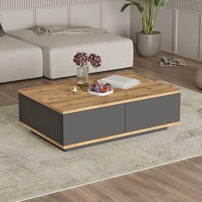 Vente-unique Salontafel met 2 deurtjes - Naturel en antraciet - LOTULA