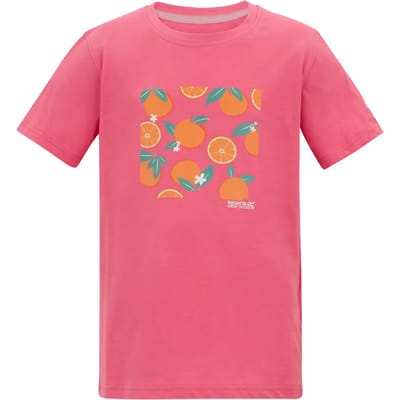 Bosley T-shirt met korte mouwen en grafische print voor kinderen