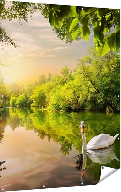 Gards Tuinposter Zwaan op het Water in het Bos - 120x160 cm - Tuindoek - Tuindecoratie - Wanddecoratie buiten - Tuinschilderij