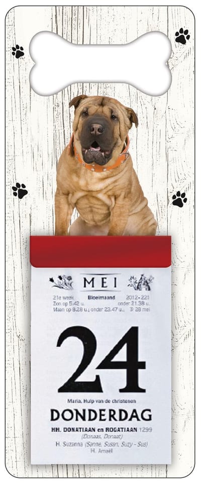 Scheurkalender 2027 Hond: Shar Pei
