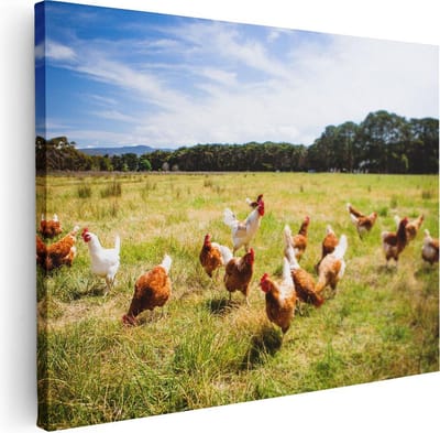 Artaza Canvas Schilderij Kippen Op Weiland - 40x30 cm - Klein - Wanddecoratie Natuur - Muurdecoratie Landschap - Kamer Accessoires