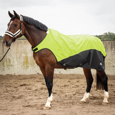 Reflecterende waterdichte deken voor paardendekens Harry's Horse 0g