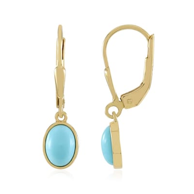 Cavill - Oorbellen 925 Sterling Zilver - 18K Goud Verguld - Sleeping Beauty Turkoois 1,62 ct - Ovale Cabochon Bezel - Elegante Turkoois Dames Sieraden