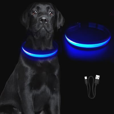 Oplaadbare, Waterdichte Hondenhalsband met LED Verlichting - Verstelbaar en Veilig voor Nachtgebruik