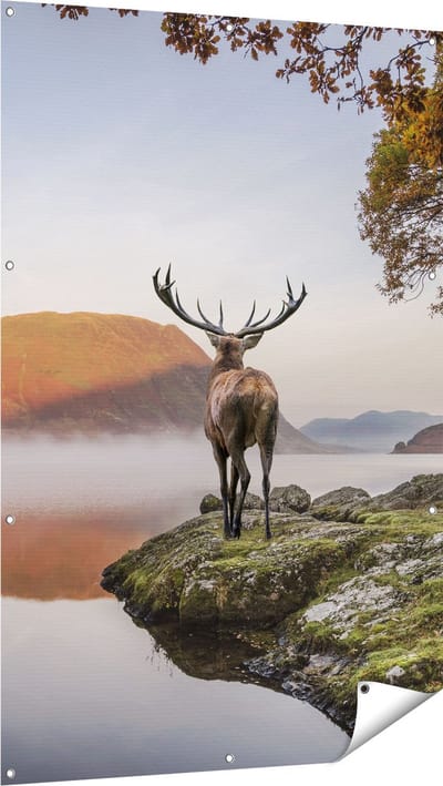 Gards Tuinposter Hert bij een Meer - 100x150 cm - Tuindoek - Tuindecoratie - Wanddecoratie buiten - Tuinschilderij