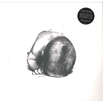 Liquid Idiot & Idiot Orchestra - Liquid Idiot / Idiot Orchestra (LP)
