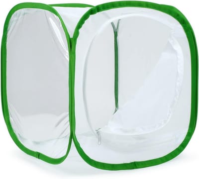 Pop-up Vlinder Habitat - Insecten Terrarium – Draagbare Mesh Observatiekooi voor Rupsen, Vlinders en Kleine Insecten – Geschikt voor Buiten en Educatief Gebruik - Groen - 30*30*30CM