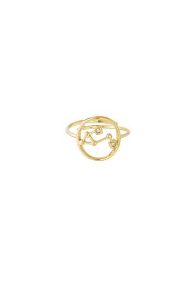 12 zodiac-ringen - Goudkleur