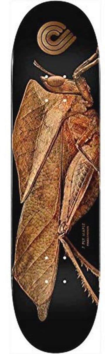 Skate Deck 8,5 x 32,08 cm - Standaard Vorm van 100% Esdoorn