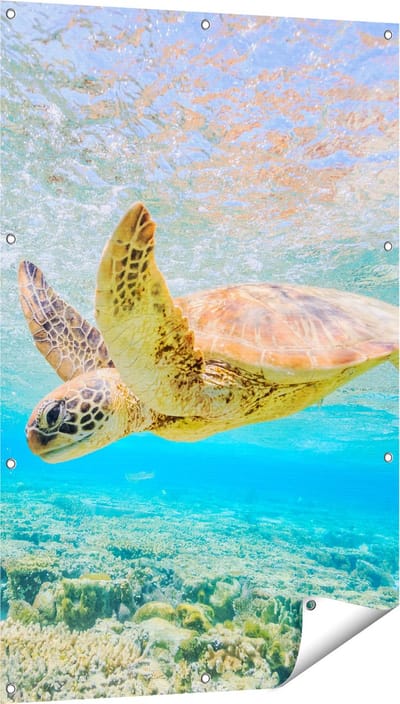 Gards Tuinposter Schildpad Zwemt in de Zee bij het Rif - 80x120 cm - Tuindoek - Tuindecoratie - Wanddecoratie buiten - Tuinschilderij