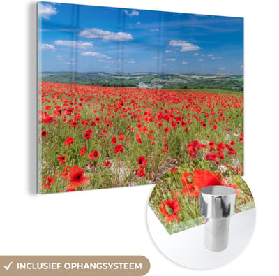 ® Glasschilderij 180x120 cm - Schilderij acrylglas - Rode klaprozen in het Engelse Nationaal park South Downs - Foto op glas - Muurdecoratie woonkamer - Wanddecoratie slaapkamer - Schilderijen
