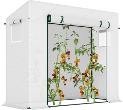 Kas met Roldeur en Zijraam - Tuinkas - Winddicht - Stalen Frame - Plastic Hoes -Foliekas - Broeikas - Koude Bak - Kweekkas - Tomatenkas - Groentekas - Plantenkas - voor Groenten, Bloemen, Planten - 200x76x168 cm - Wit