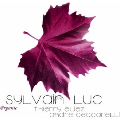 Organic/Feat. Thierry - Sylvain Luc