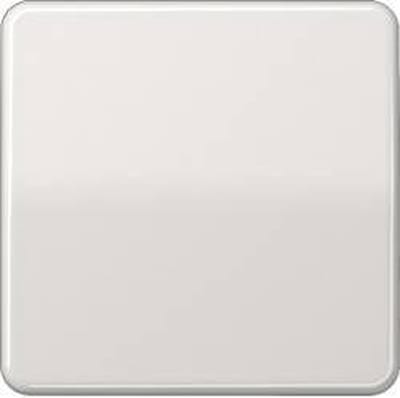 Jung CD500 Schakelelement/Centrale Plaat - CD590LG - E2V26