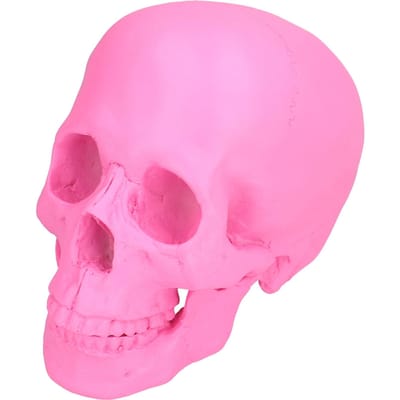 Décor Crâne Halloween en Résine Festival Accessoires Maison Faux Ornements Crâne Personne Entière Rose pink