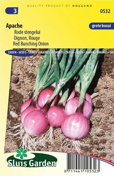 Ui (Allium cepa) - Apache Rode stengel - Moestuin - bloeit in Juni / Juli / Augustus / September