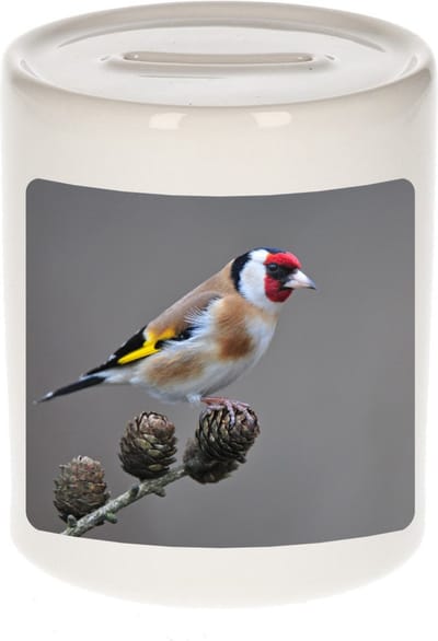 Dieren putter vogel foto spaarpot 9 cm jongens en meisjes - Cadeau spaarpotten vogels liefhebber
