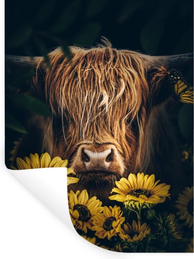 Muurstickers - Sticker Folie - Schotse hooglander - Bloemen - Koe - Botanisch - Dieren - 30x40 cm - Plakfolie - Muurstickers Kinderkamer - Zelfklevend Behang - Zelfklevend behangpapier - Stickerfolie