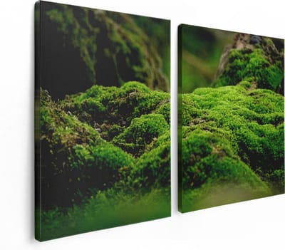 Artaza Canvas Schilderij Tweeluik Groen Mos - 120x80 - Foto Op Canvas - Canvas Print