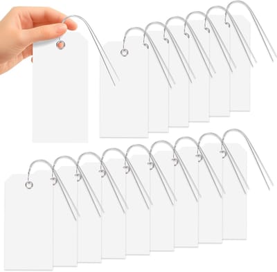 101 Stuks Waterdichte Schrijfbare Labels 8x16 cm met Touw, Duurzame Verzendlabels voor Verhuizen, Thuis en Kantoor