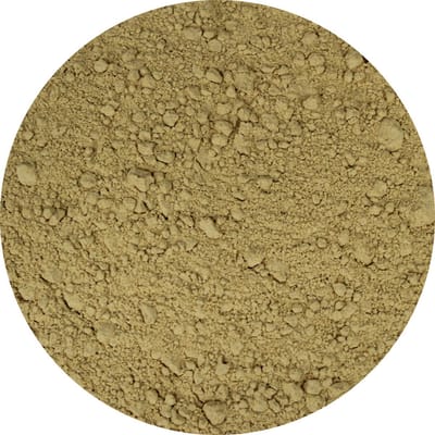 Van Beekum Specerijen - Uienpoeder Geroosterd - 25 KG - Doos (bulk verpakking)