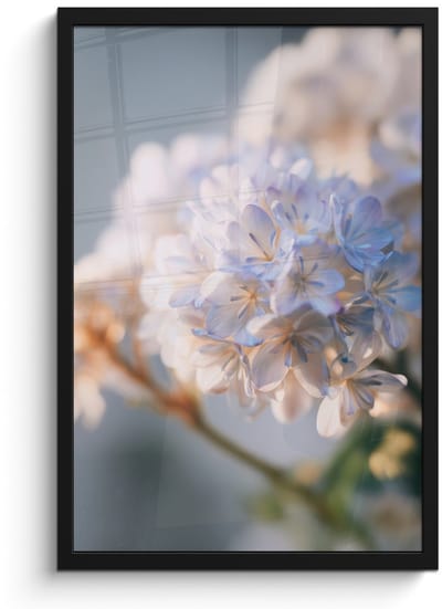 Poster in lijst - Fotolijst 40x60 cm - Posters - Bloemen - Lichtblauw - Wazig - Trosje - Posterlijst zwart - Decoratie - Wanddecoratie woonkamer - Muurdecoratie slaapkamer