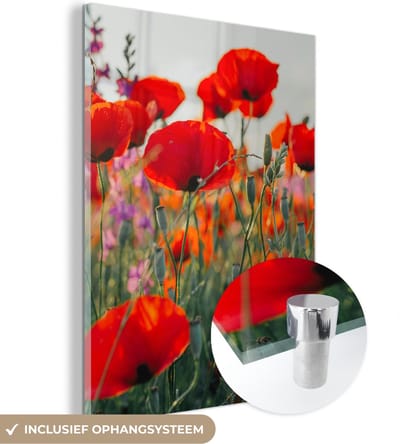 MuchoWow® Glasschilderij 30x40 cm - Schilderij acrylglas - Klaproos - Bloemen - Rood - Paars - Weide - Foto op glas - Schilderijen
