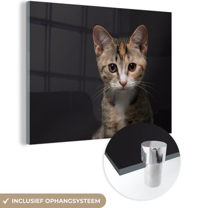 MuchoWow® Glasschilderij 160x120 cm - Schilderij acrylglas - Kat - Zwart - Portret - Foto op glas - Schilderijen