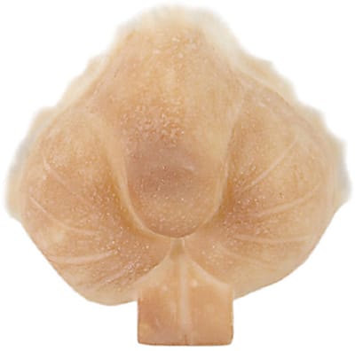 Grimas - Latex Snuit - Konijn - 310