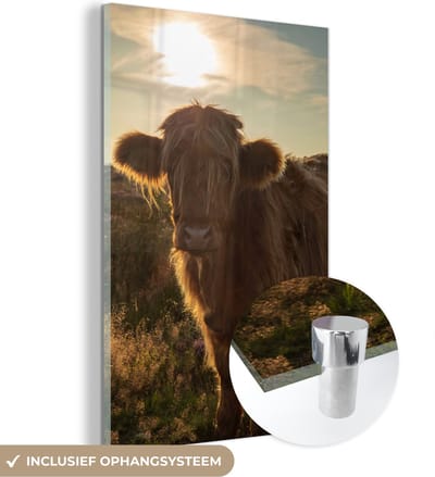 MuchoWow® Glasschilderij 100x150 cm - Schilderij acrylglas - Schotse Hooglander - Zonsondergang - Gras - Foto op glas - Schilderijen