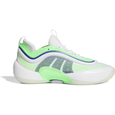 Basketbalschoenen adidas D.O.N. Issue 6