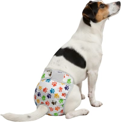 Loopsheidbroekje hond Pootjes print Maat M - Herbruikbaar - Hondenbroekje - Hondenluier - Taille 28-33 cm - Perfecte pasvorm
