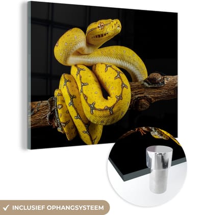 MuchoWow® Glasschilderij 160x120 cm - Schilderij acrylglas - Slang - Tak - Geel - Foto op glas - Schilderijen