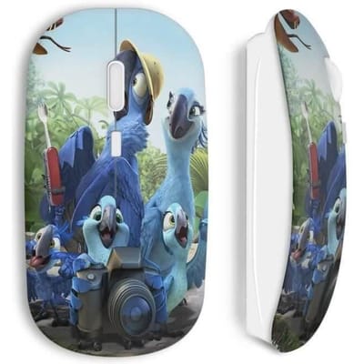 Souris Sans Fil Rio