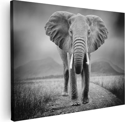 Artaza Canvas Schilderij Olifant Afrika - 40x30 cm - Klein - Wanddecoratie Woonkamer - Muurdecoratie Dieren - Kamer Accessoires Safari