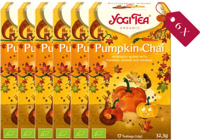 Yogi Tea Pumpkin Chai Bio - Biologische Kruidenthee met Pompoen, Kaneel en Gember voor Een Warme en Kruidige Herfstervaring - Tray van 6 Stuks