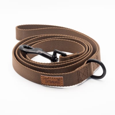 Nylon riem bruin - 200 cm x 2,5 cm - honden riem - gepersonaliseerd - hondenriemen - halsband - hond - hondenhalsband met naam - halsbanden, riemen & tuigen - Trimmi