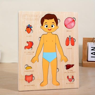 Menselijk Lichaam Puzzels voor Kinderen Houten Montessori Anatomie Puzzel Speelset Menselijk Lichaam Model Educatief Spel voor Peuters