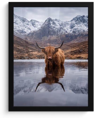 Poster in lijst - Fotolijst 30x40 cm - Posters - Schotse hooglander - Bruin - Water - Posterlijst zwart - Decoratie - Wanddecoratie woonkamer - Muurdecoratie slaapkamer